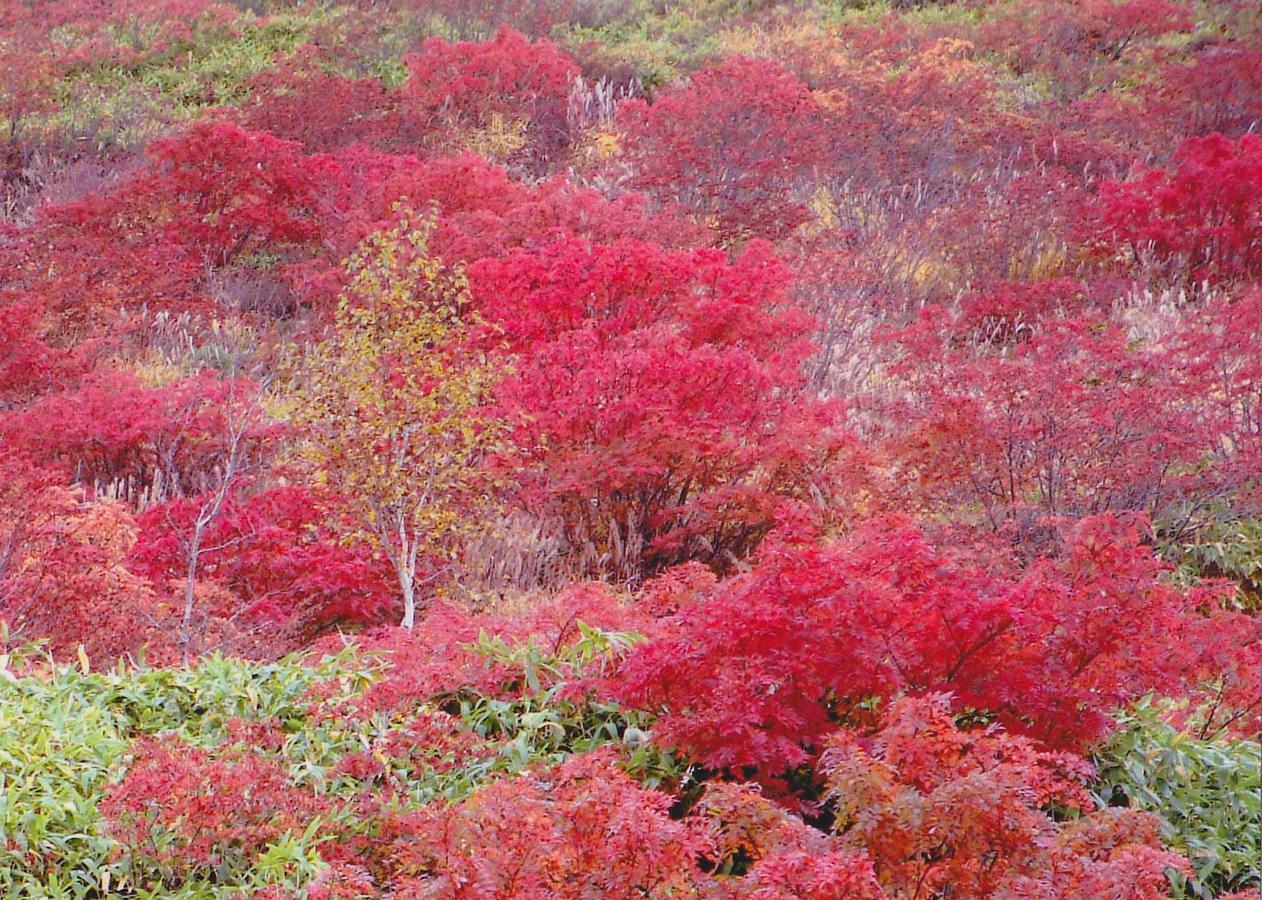 Shiga Kogen Hotel Shiga Sunvalley Yamanouchi  Exteriör bild
